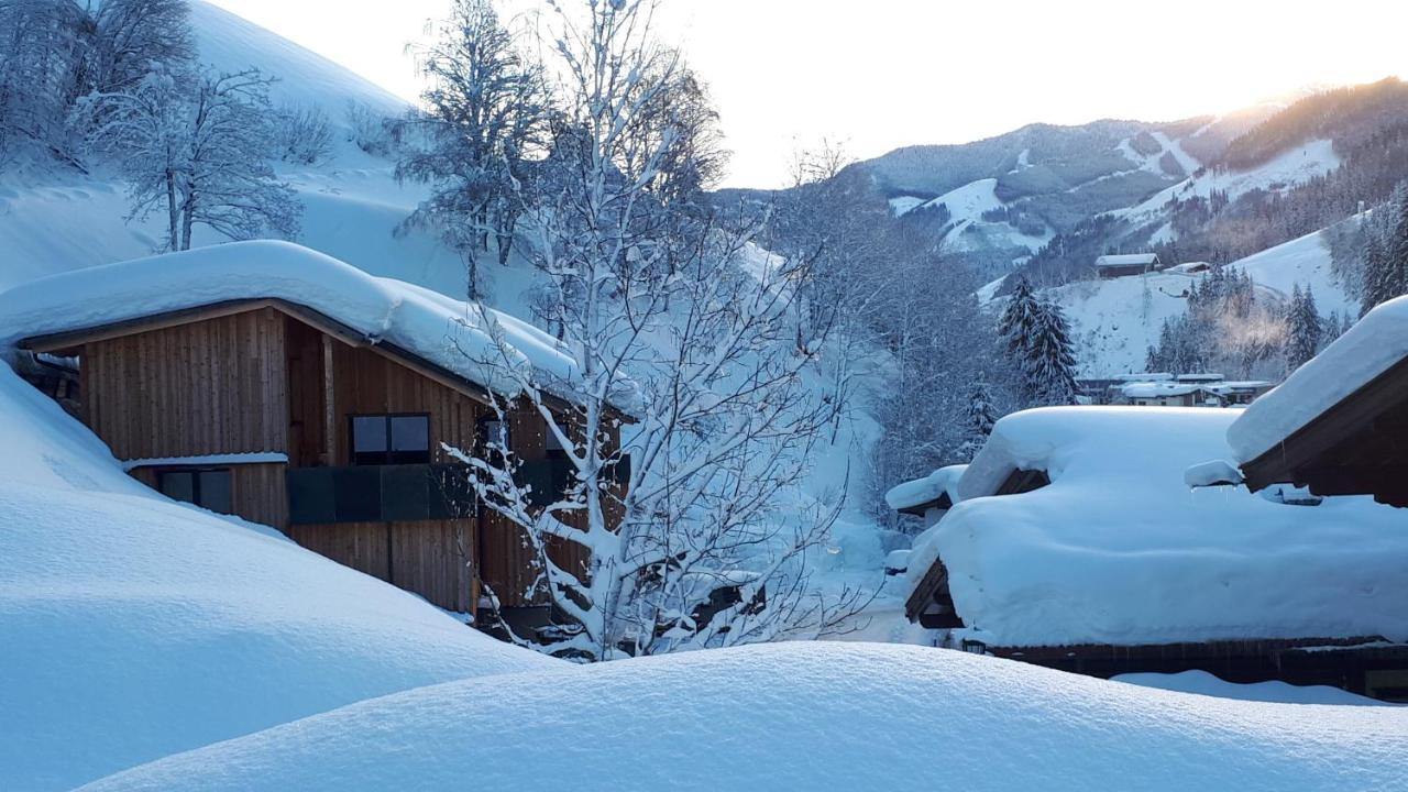 Chalet Ablon ザールバッハ・ヒンターグレム エクステリア 写真